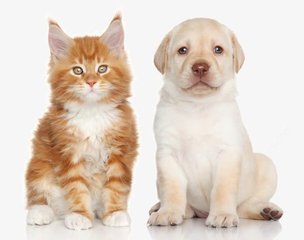 imtoken钱包下载新版本