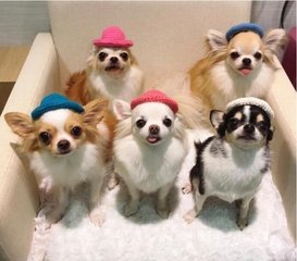 以太坊手机观察钱包