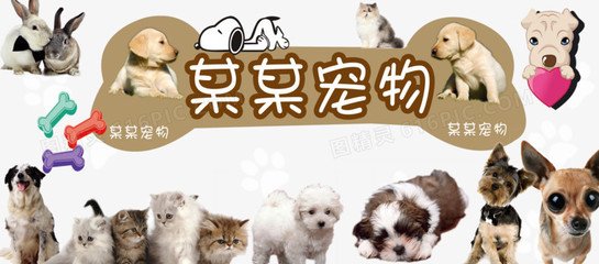以太坊钱包32枚