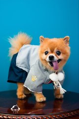 以太坊java钱包