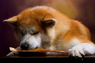 交易所交易平台