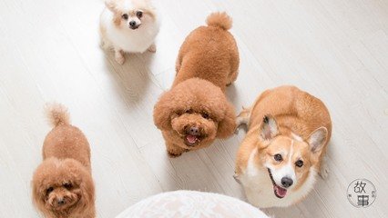 以太坊钱包硬件行情