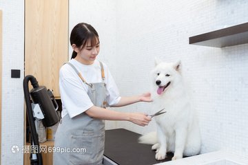 以太坊钱包怎么查升值