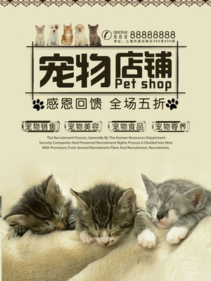 imtoken钱包怎么登录