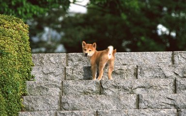 imtokem钱包官网下载