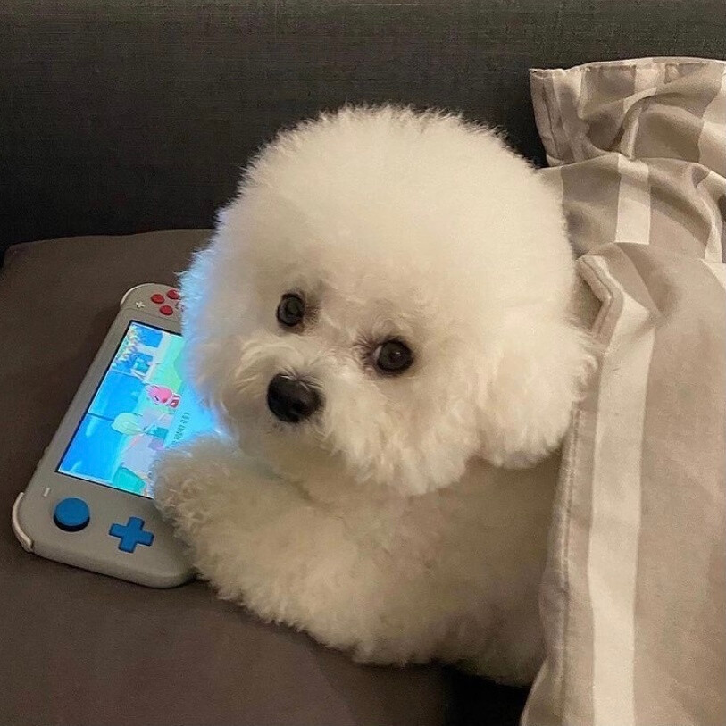 以太坊钱包生成过程