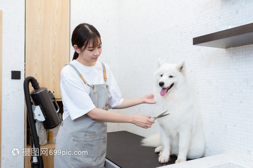 以太坊钱包注册主流